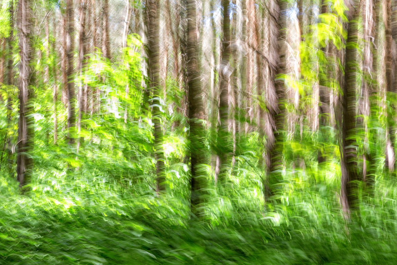 Art of Nature (2015)