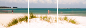 Darßer Beach (2015) thumbnail
