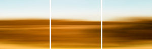 Wild Nature (2012) thumbnail